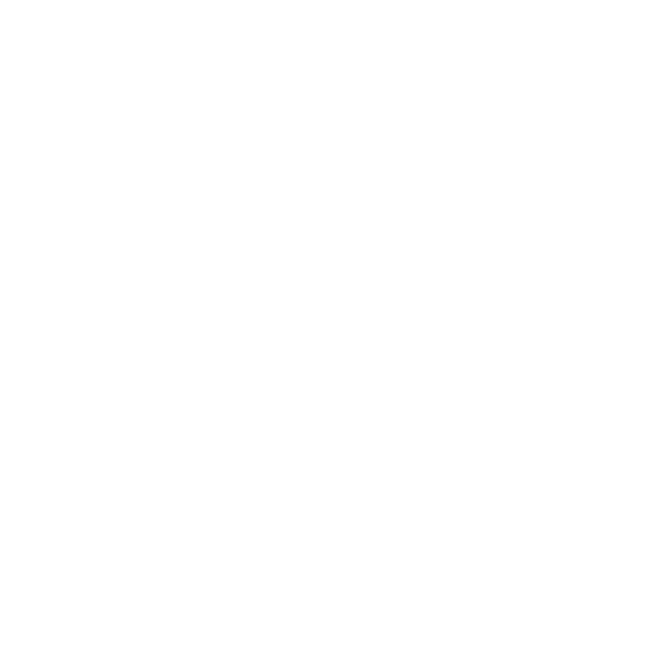 +12035719332